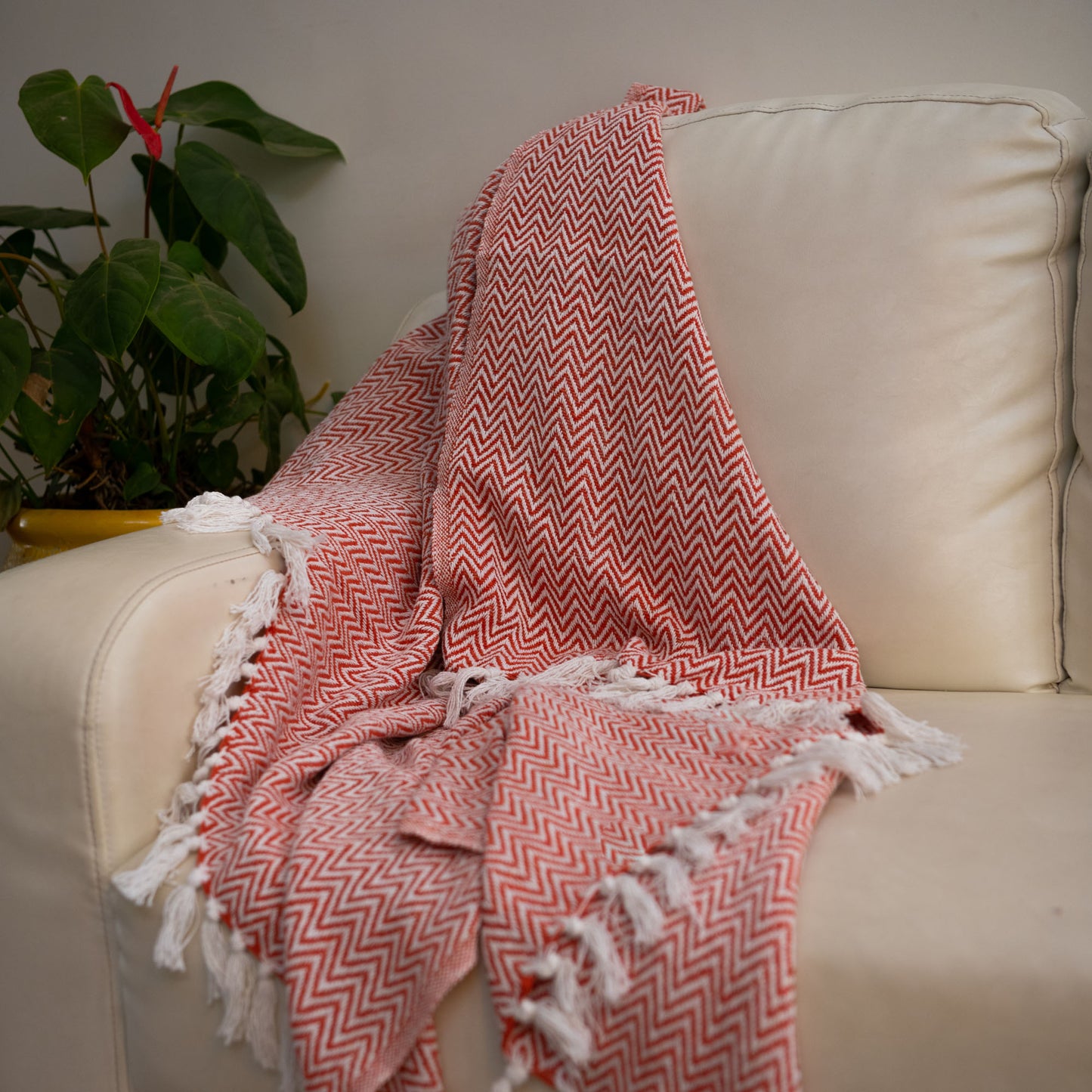 Oasis 50 X 60 inch Cotton Throws